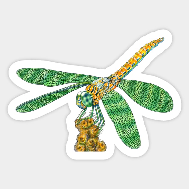 Dragonfly Sticker by Tim Jeffs Art